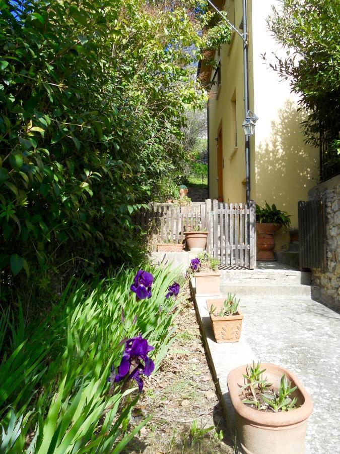 Villa Lucrezia - Dimora In Suvereto Suites&Apartments Екстериор снимка