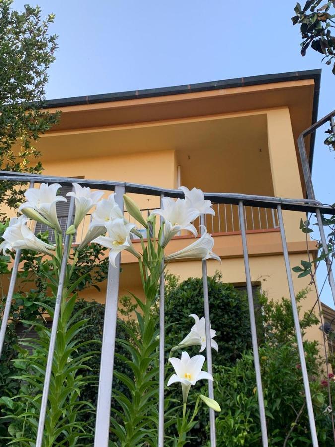 Villa Lucrezia - Dimora In Suvereto Suites&Apartments Екстериор снимка
