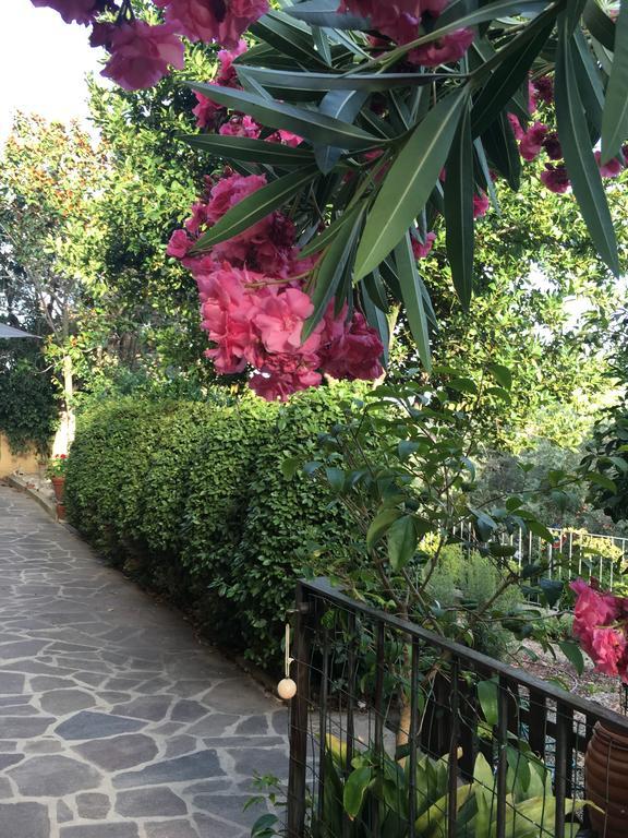 Villa Lucrezia - Dimora In Suvereto Suites&Apartments Екстериор снимка
