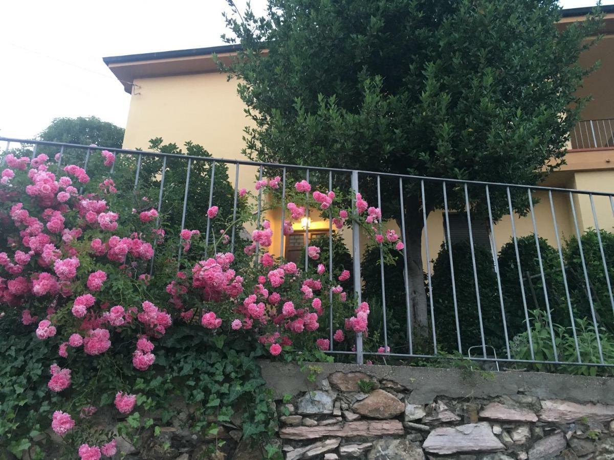 Villa Lucrezia - Dimora In Suvereto Suites&Apartments Екстериор снимка