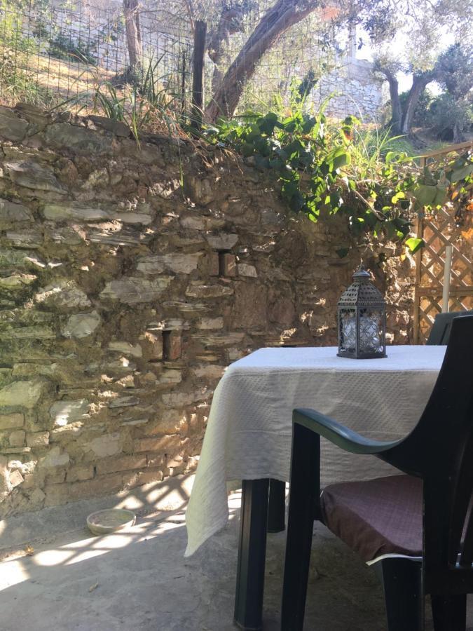 Villa Lucrezia - Dimora In Suvereto Suites&Apartments Екстериор снимка